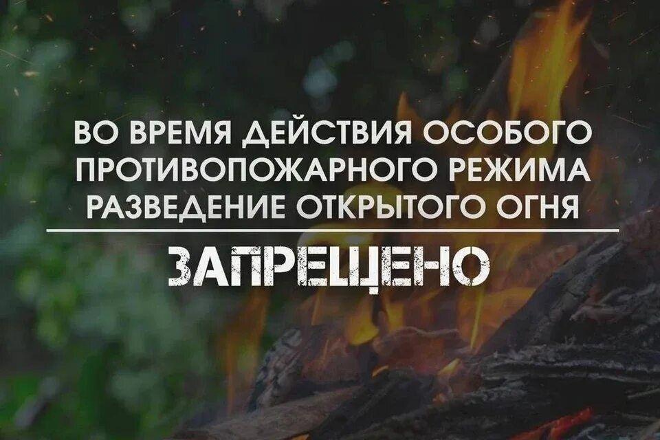 Главное управление МЧС России по Томской области напоминает, с 25 апреля в 11 муниципальных образованиях Томской области действует особый противопожарный режим!.